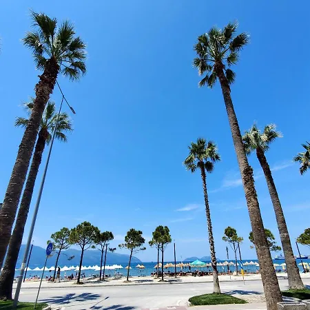 The Endless Summer * Avlonya