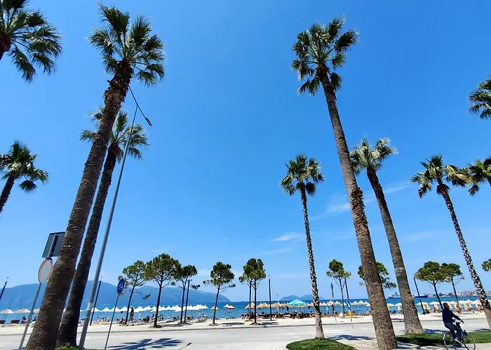 The Endless Summer * Avlonya